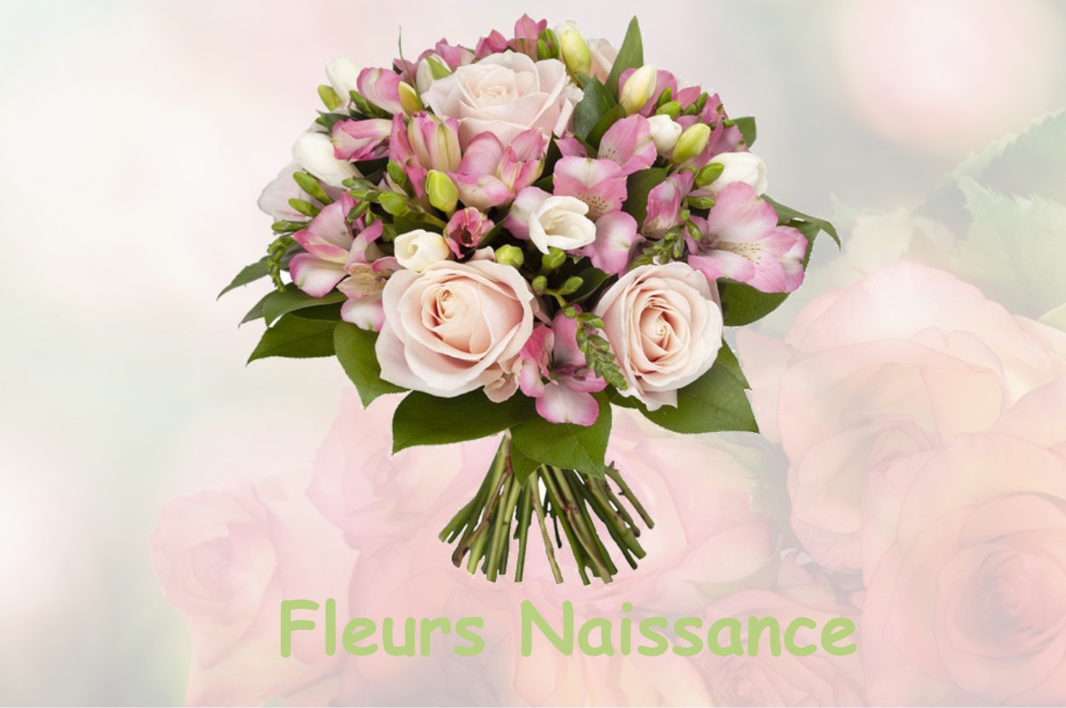 fleurs naissance VAUX-SUR-BLAISE